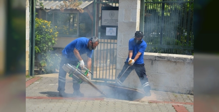 Antalya'da haşerelere karşı yıl boyunca süren vektörel mücadele