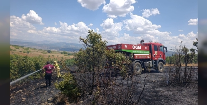 Bingöl'de meşelik alanda çıkan yangın kontrol altına alındı