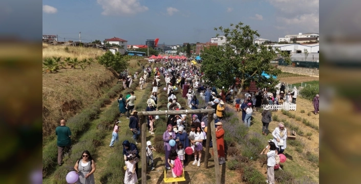 Çayırova'da lavanta hasadı şenliği coşkuyla kutlandı