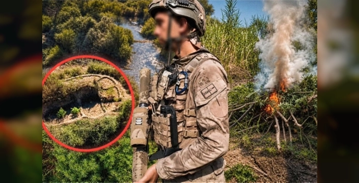 Diyarbakır'da dev uyuşturucu operasyonu: Milyonlarca kenevir köküne gözaltı!