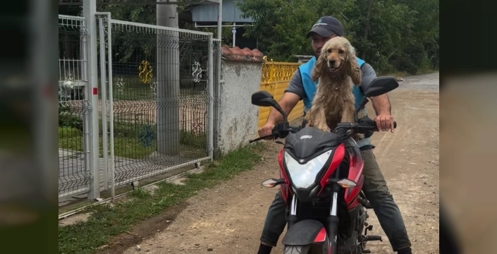 Düzce'de motosikletli dost: Köpekten unutulmaz sadakat gösterisi
