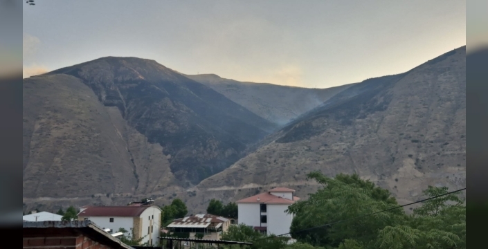 Elazığ'da korkutan örtü yangını kontrol altına alındı: Ormanlık alana sıçradı, kerpiç evler zarar gördü