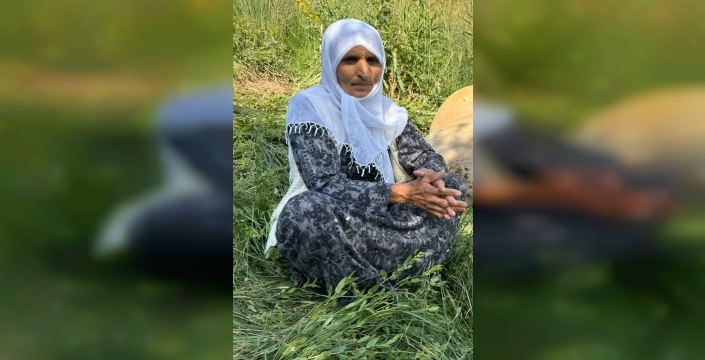 Hakkari'de yürek burkan kayıp: Merada otlayan inek, sahibi kadını yasa boğdu