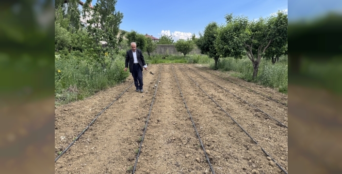Hakkarili çiftçi, ata tohumlarıyla verimli ürünler yetiştiriyor