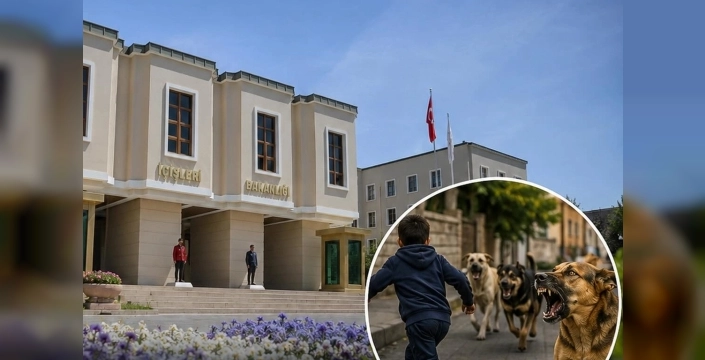 Halfeti'deki dehşet: Köpek saldırısı sonrası Mülkiye Müfettişi sahada