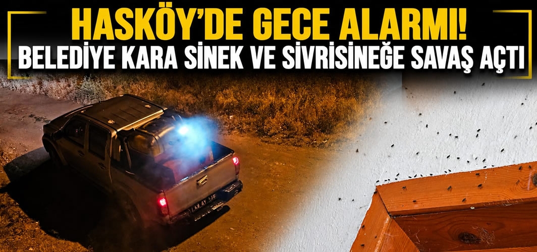 Hasköy'de Gece Alarmı! Belediye Kara Sinek ve Sivrisineğe Savaş Açtı