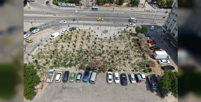 İzmir'de terk edilmiş benzinlikten nefes kesen mikro orman doğdu