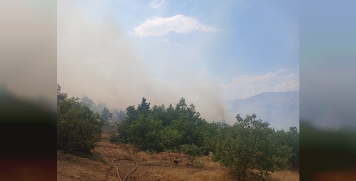 Malatya'nın Pütürge ilçesinde orman yangını kontrol altına alındı