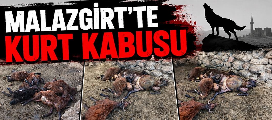 Malazgirt’te Kurt Kabusu