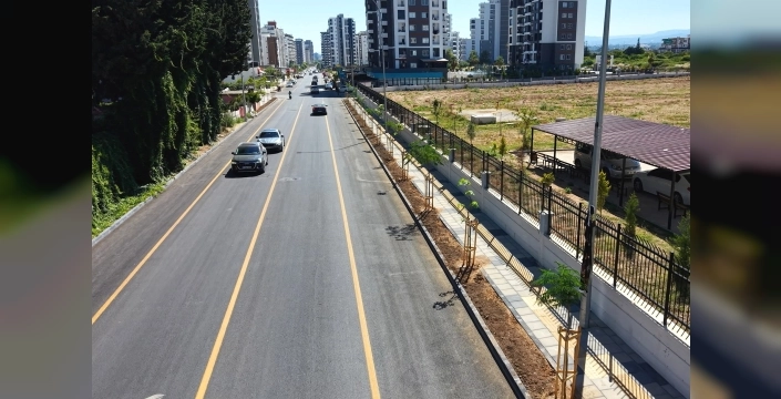 Mersin'de Gazi Paşa Caddesi, 420 ağaçla yeşil bir görünüme kavuştu
