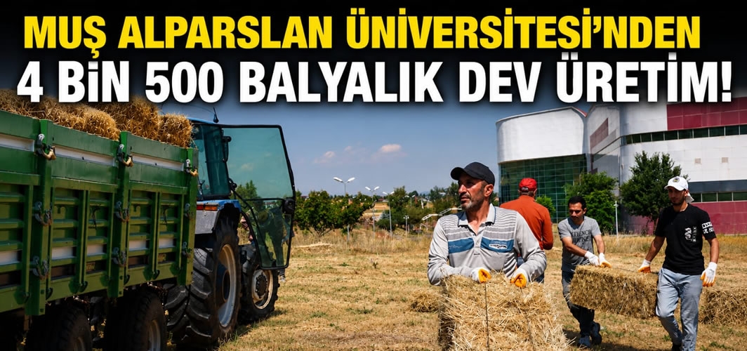 Muş Alparslan Üniversitesi'nden 4 Bin 500 Balyalık Dev Üretim!