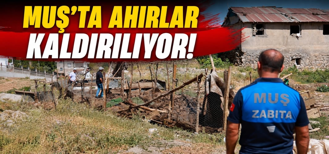 Muş'ta Ahırlar Kaldırılıyor