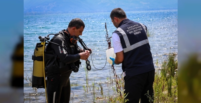 Sapanca Gölü'ndeki yeşil görüntü endişeye yol açtı ama SASKİ'den 'risk yok' açıklaması geldi