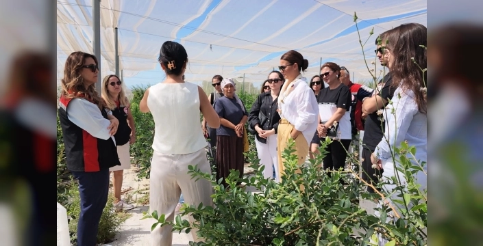 Tire'den Urla'ya uzanan modern tarım yolculuğu: Berry Hill Çiftliği'nde ilham verici bir gün