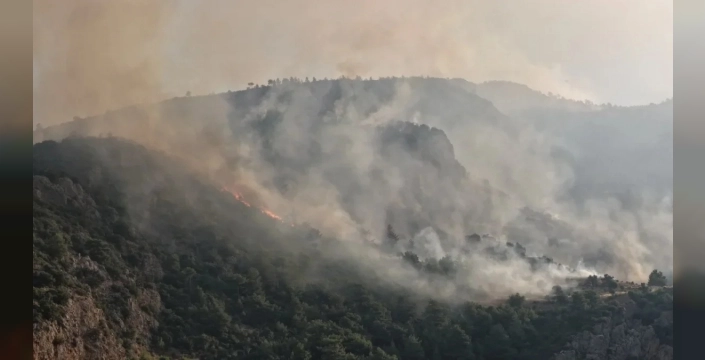 16 ilde 44 orman yangını için adli soruşturma başlatıldı