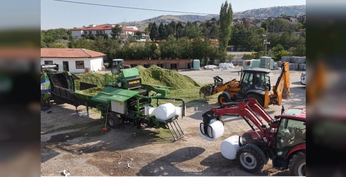 Ankara'da hayvan yetiştiricilerine mısır silajı desteği sağlanacak