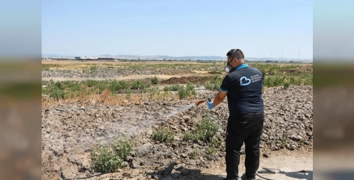 Balıkesir'de sivrisineksiz yaz hedefi: Ekipler 7/24 sahada