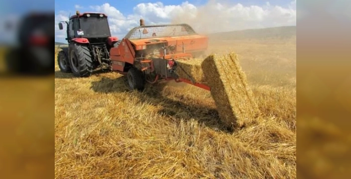 Buğday sapları, tarım ve hayvancılığa yeni bir soluk getiriyor