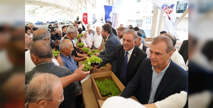 Çatalca'da 'Hasat Bayramı' coşkusu: İBB'den üreticilere büyük destek