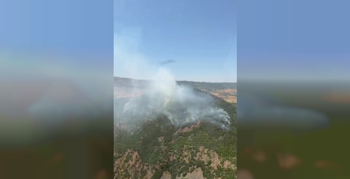 Elazığ'da ormanlık alanda korkutan yangın söndürüldü