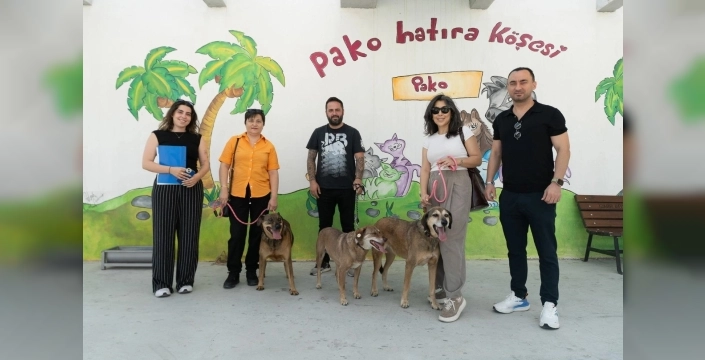 İzmir'de sadık dostlar iş başında: Mesaî arkadaşlığı yeniden kuruldu