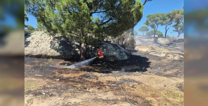 Muğla'da yangınların %69'u insan hatasıyla çıktı