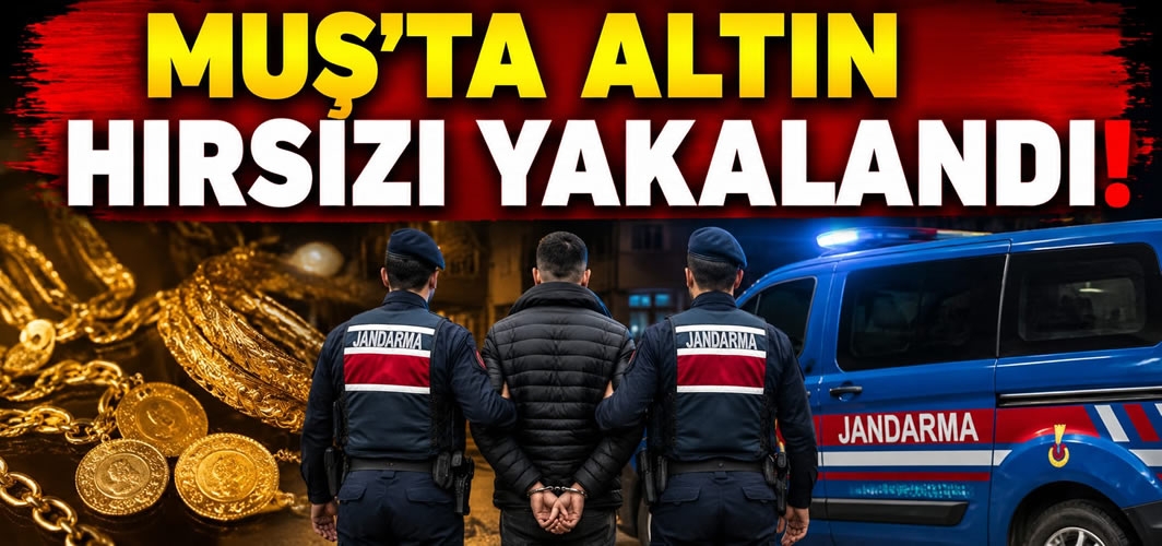 Muş'ta altın hırsızı Yakalandı!