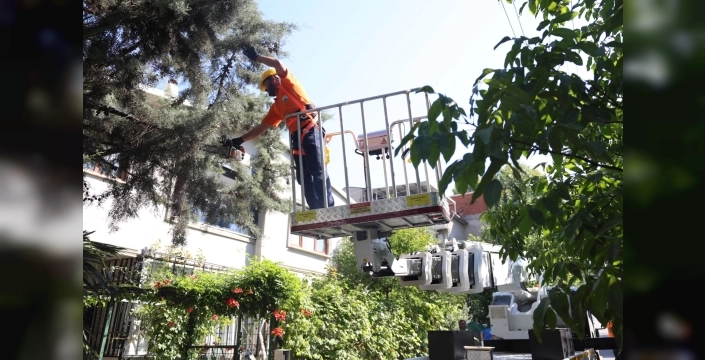 Osmangazi Belediyesi'nden yeşil alan koruma hamlesi