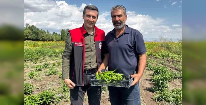 Ozanlar Köyü'nde hibeli fide desteğiyle örnek tarım modeli