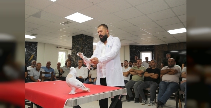 Şebap güvercinleri Erzurum'da sergilendi