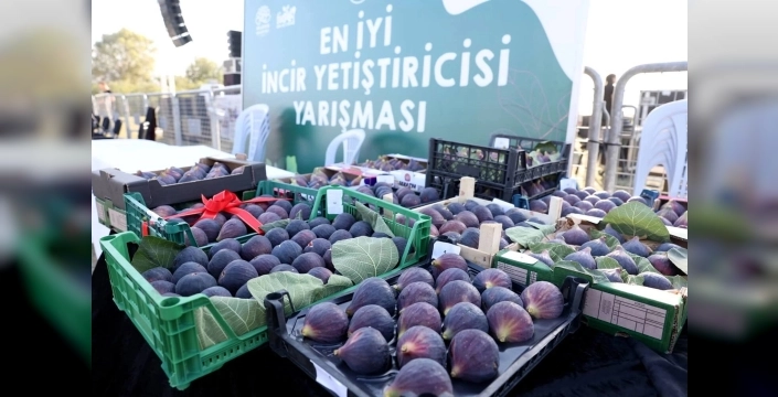 12. Akçalar Fadıllı İncir Festivali, Bursa'da başlıyor