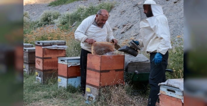 50 yıldır Hakkari'de bal üretimi yapan arıcı