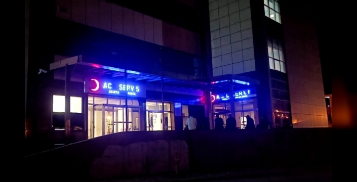 Ağaçtan düşen kişi hayatını kaybetti