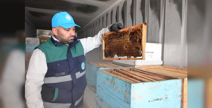 Arıcıların petekleri eksi 30 derecede korunuyor