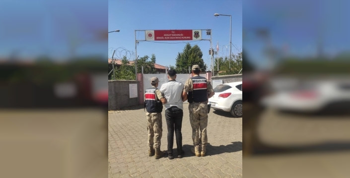 Bingöl'de aranan iki hükümlü yakalandı