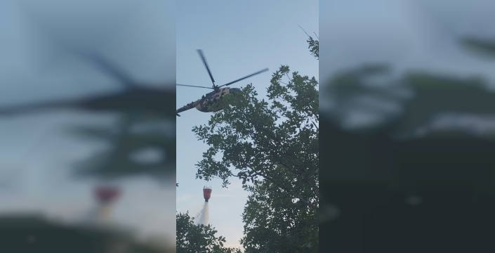 Bingöl'de çıkan orman yangını ekipler tarafından söndürüldü