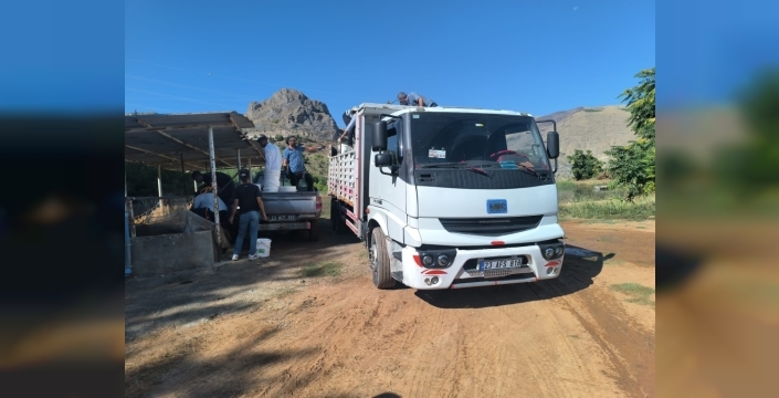 Elazığ'dan Erzincan'a 1 milyon 200 bin sazan yavrusu gönderildi
