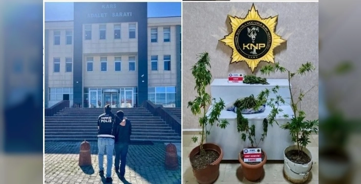 Kars''ta uyuşturucu operasyonunda 272 gram esrar ele geçirildi