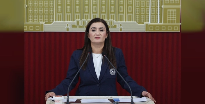 Kılıç, CHP'de farklı görüşlere yer açılmasını talep ediyor