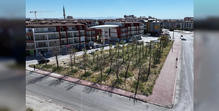 Konya raylı sistem için taşınan ağaçları yeniden dikiyor