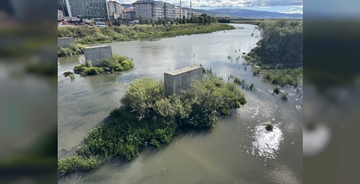 Kura Nehri'nin debisi düştü, yosunla kaplandı