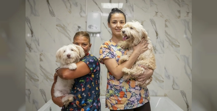 Mersin'de hayvanlar için pet kuaförler ve gönüllüler el ele