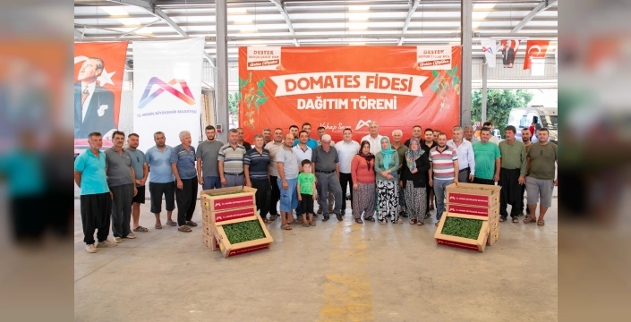 Mersin'de üreticilere domates fidesi desteği