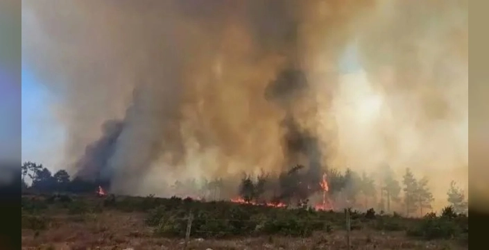 Muğla'da orman yangını Ula'ya ulaştı