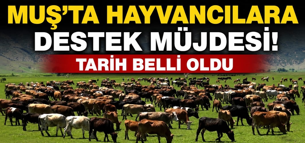 Muş'ta Hayvancılara Destek Müjdesi! Tarih Belli Oldu