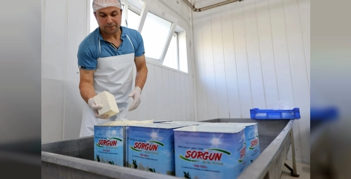 Sorgun peynirine coğrafi işaret tescili alındı