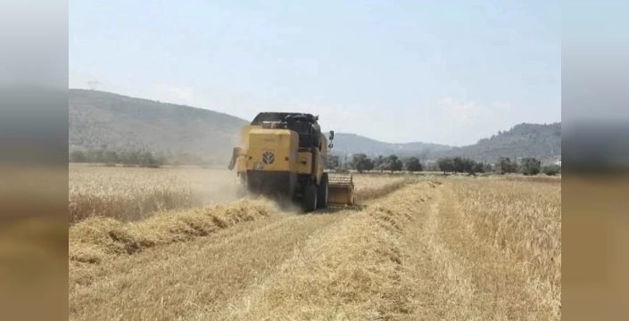 Tarım-ÜFE ağustosta aylık bazda geriledi