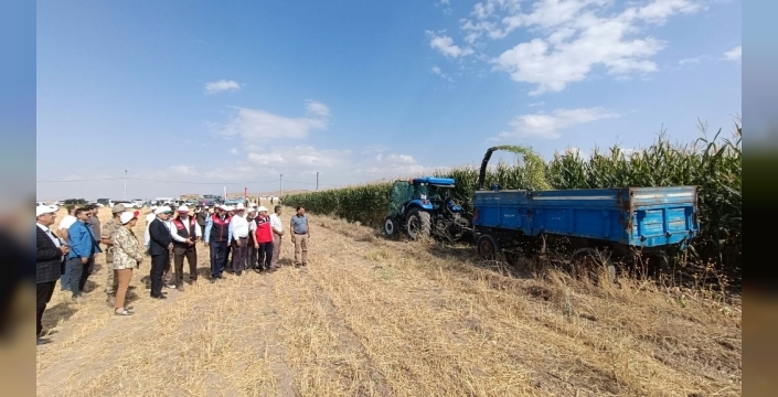 Van'da kış hazırlığı için silajlık mısır hasadı başladı