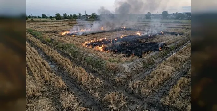 Anız yakma sorunu için çözüm önerileri