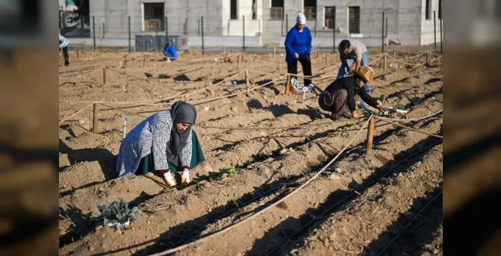 Bornova'da karbon sıfır kent bostanı üretime başladı